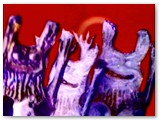 Sexual Rabbits from the performance 